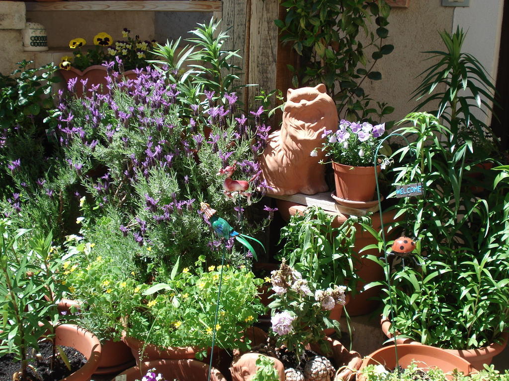 Abruzzo Segreto Bed & Breakfast Navelli ภายนอก รูปภาพ