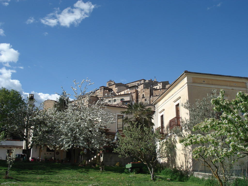 Abruzzo Segreto Bed & Breakfast Navelli ภายนอก รูปภาพ