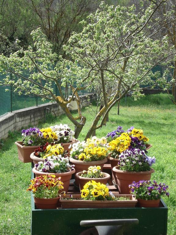Abruzzo Segreto Bed & Breakfast Navelli ภายนอก รูปภาพ