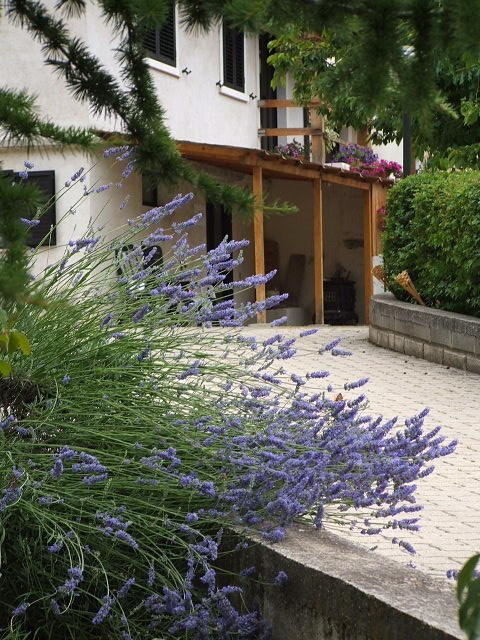 Abruzzo Segreto Bed & Breakfast Navelli ภายนอก รูปภาพ